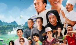 电视剧菊子全集连播,悲欢离合，人生百态