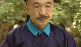 电视剧宰相刘罗锅,智斗权谋，笑谈朝堂